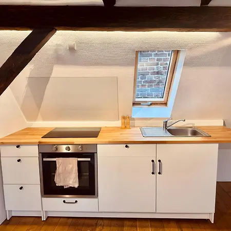 Apartment Neu Stilvolle Maisonette Direkt Am Rhein Nähe Bonn *