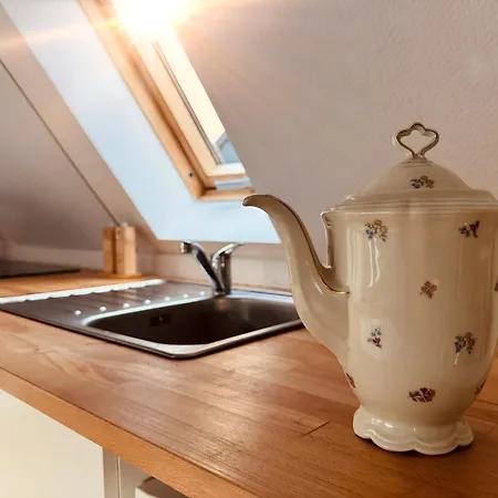 Neu Stilvolle Maisonette Direkt Am Rhein Nähe Bonn