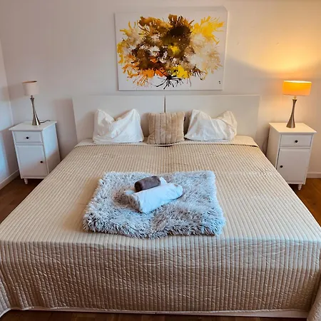 Apartment Neu Stilvolle Maisonette Direkt Am Rhein Nähe Bonn Remagen