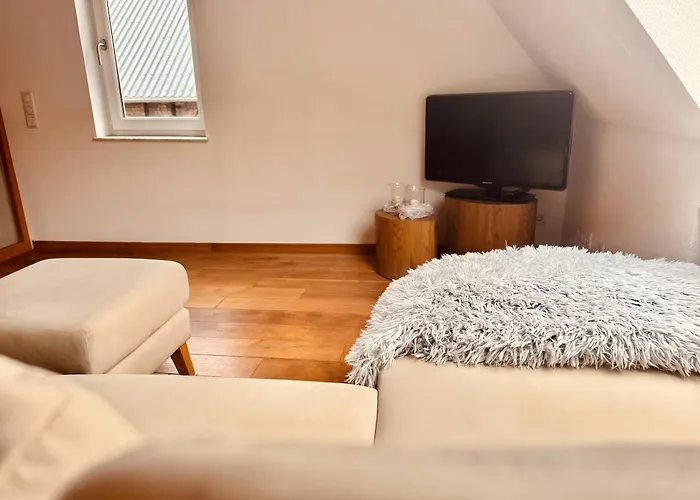 Apartment Neu Stilvolle Maisonette Direkt Am Rhein Naehe Bonn *