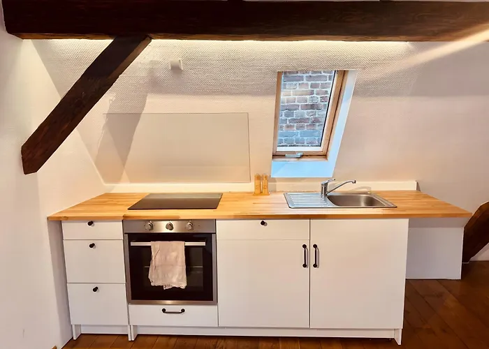 Apartament Neu Stilvolle Maisonette Direkt Am Rhein Naehe Bonn *