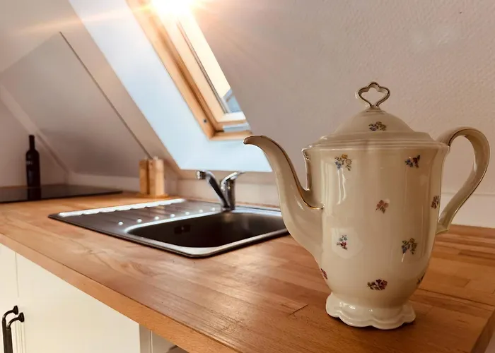 Neu Stilvolle Maisonette Direkt Am Rhein Naehe Bonn